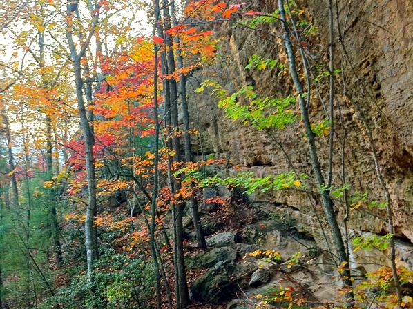 Natural Bridge State Park